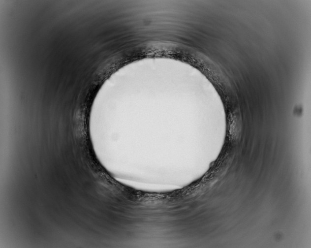 X0000103400819200810241009