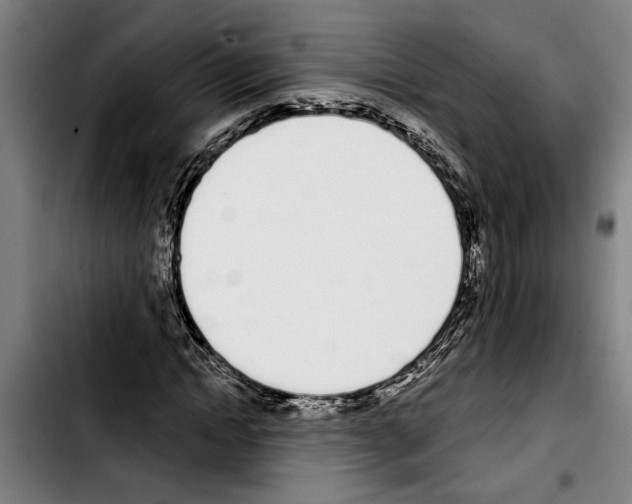 X0000103400822200810241009