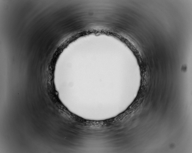 X0000103400823200810241009