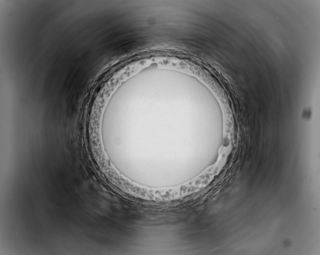 X0000103400824200810241009