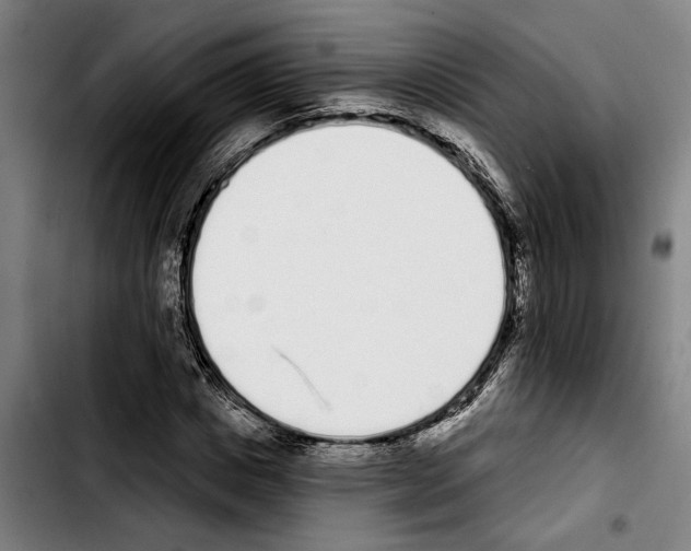 X0000103400825200810241009