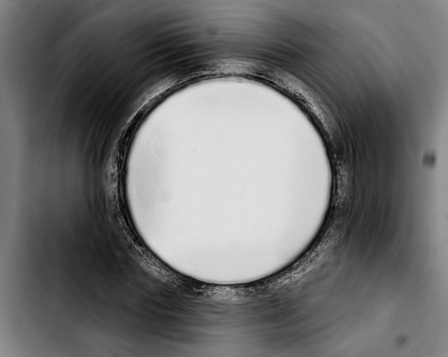 X0000103400827200810241009