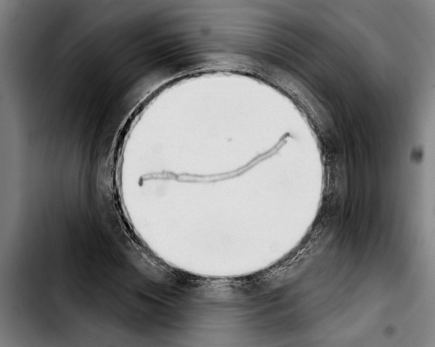 X0000103400828200810241009