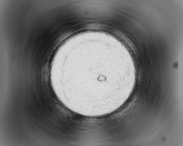 X0000103400829200810241009