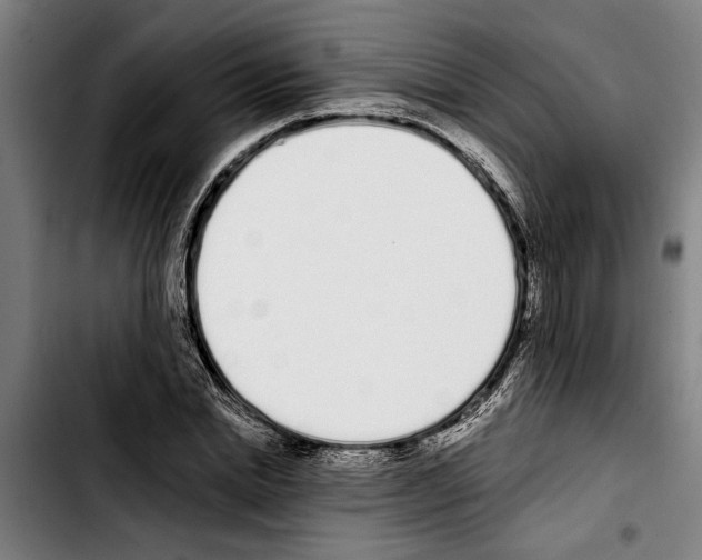 X0000103400830200810241009