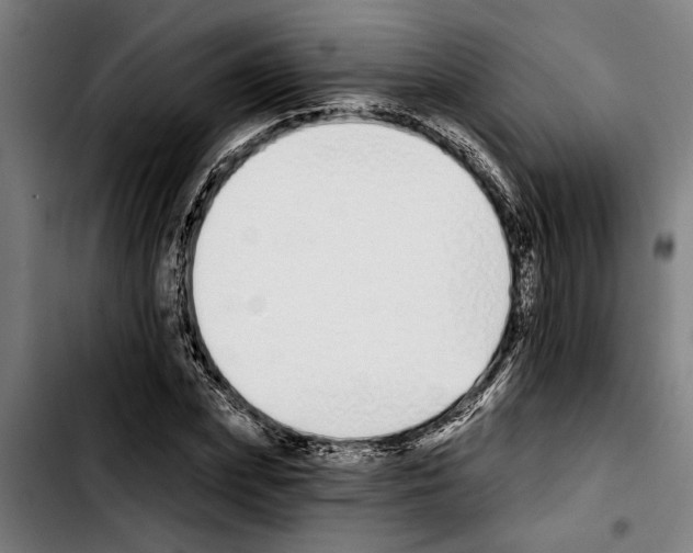 X0000103400831200810241009