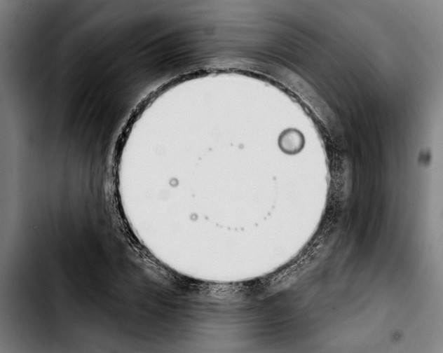 X0000103400832200810241009