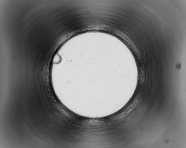 X0000103400834200810241009