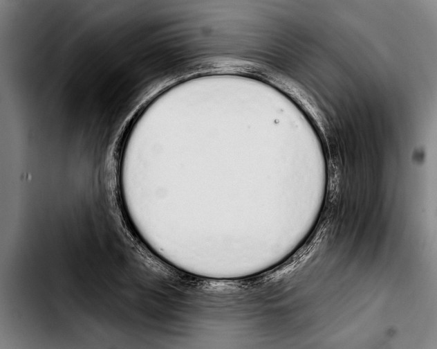 X0000103400835200810241009