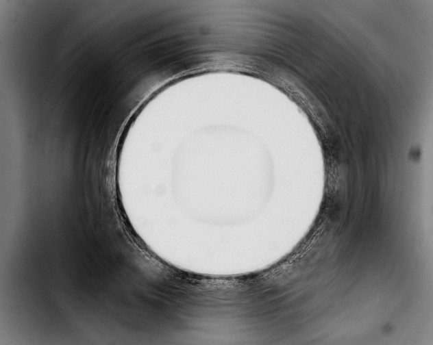 X0000103400836200810241009