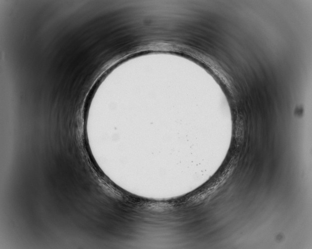 X0000103400837200810241009