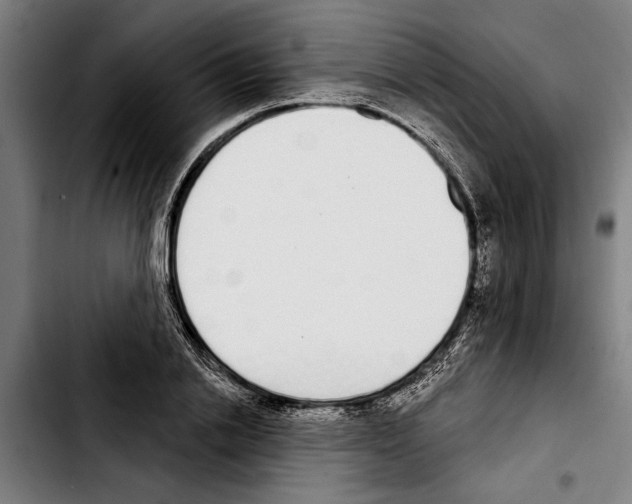 X0000103400838200810241009