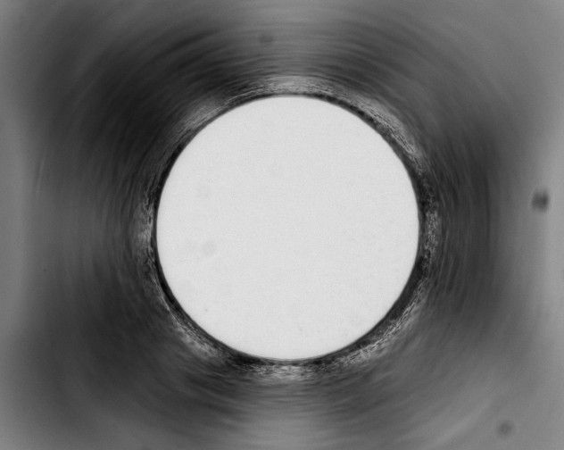 X0000103400841200810241009