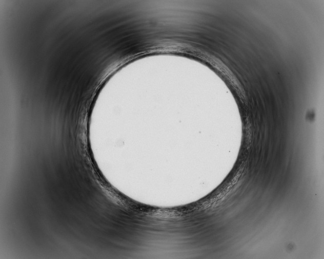 X0000103400842200810241009