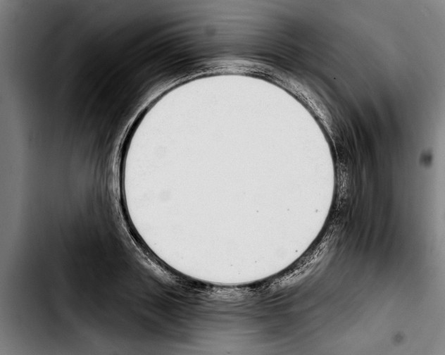 X0000103400843200810241009