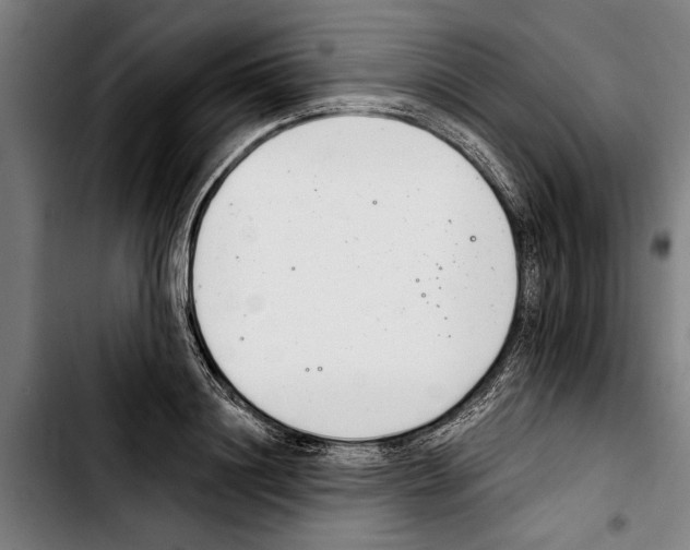 X0000103400844200810241009