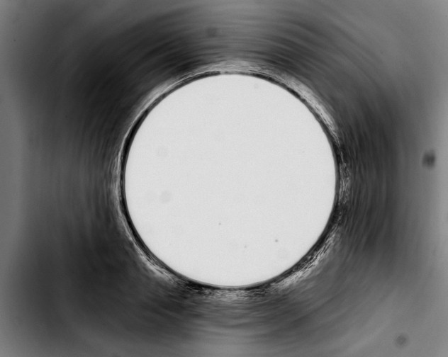 X0000103400845200810241009