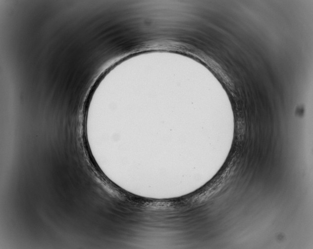 X0000103400846200810241009