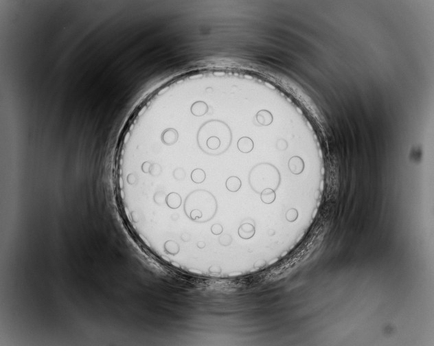 X0000103400847200810241009