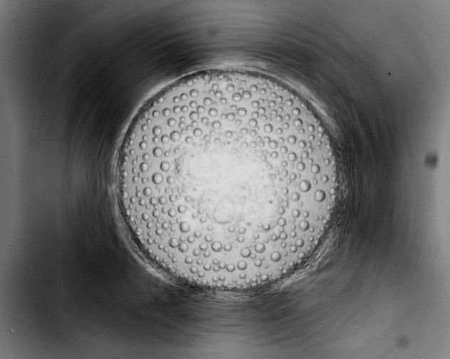 X0000103400848200810241009