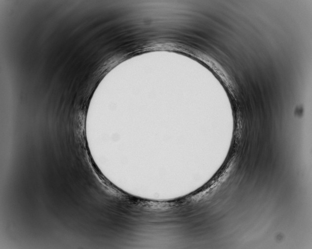 X0000103400849200810241009