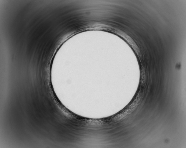 X0000103400850200810241009