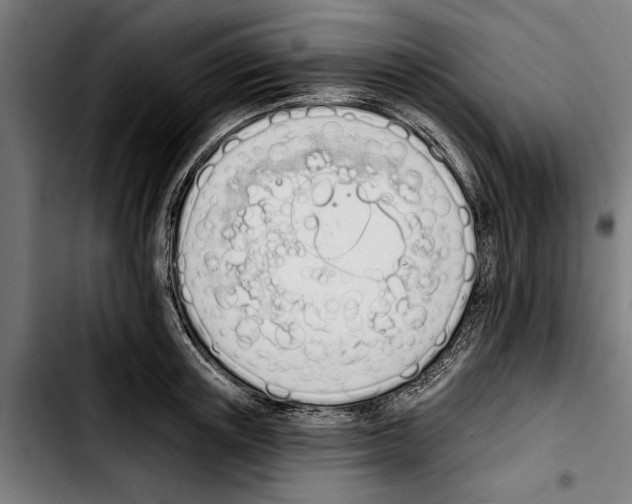 X0000103400851200810241009