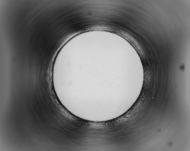 X0000103400852200810241009