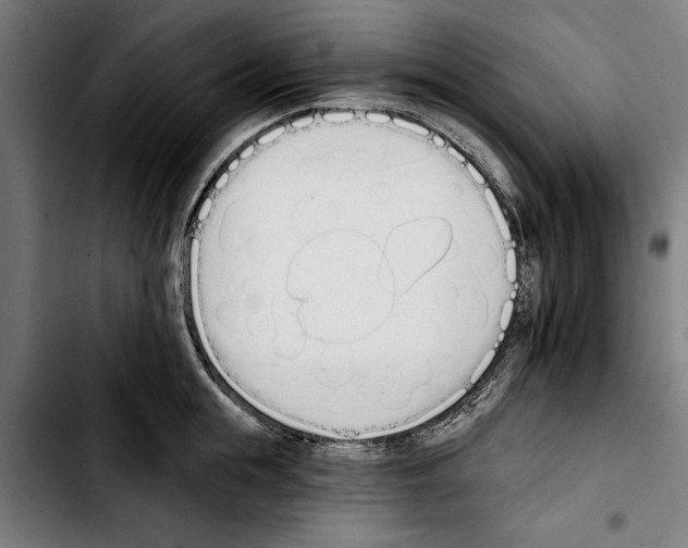 X0000103400855200810241009