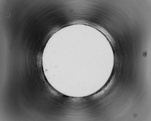 X0000103400857200810241009