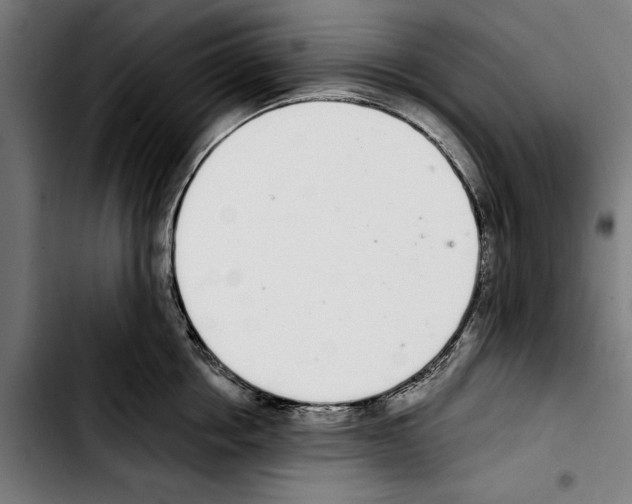 X0000103400858200810241009