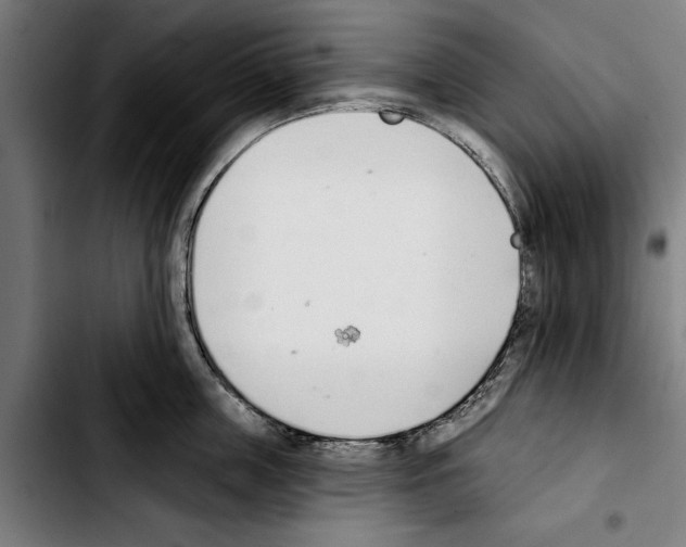 X0000103400859200810241009