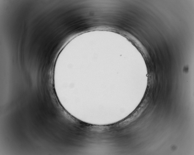 X0000103400860200810241009