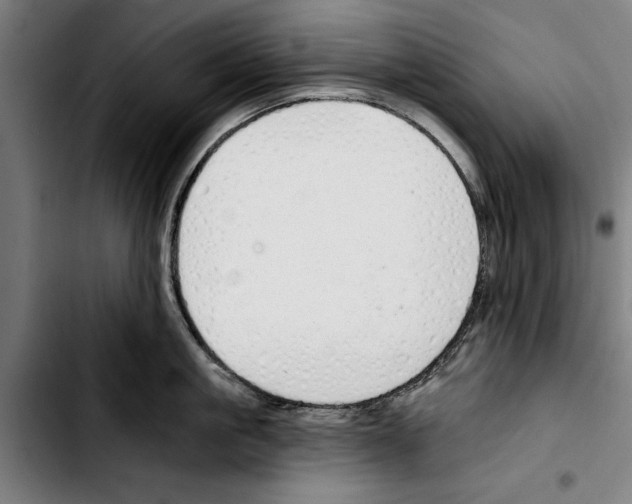 X0000103400861200810241009