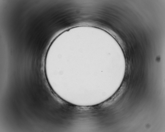 X0000103400862200810241009