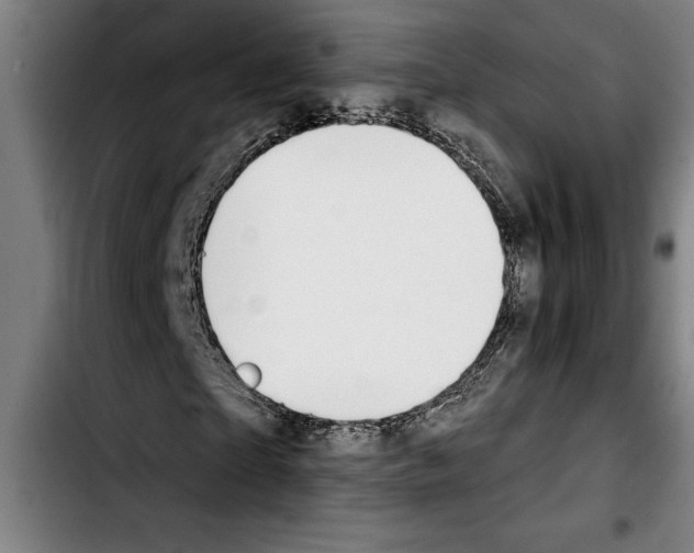 X0000103400865200810241008