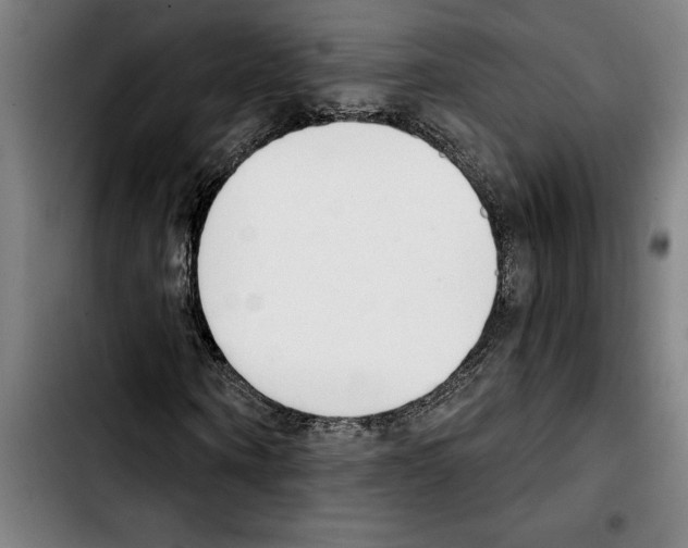 X0000103400866200810241008