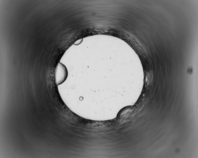 X0000103400867200810241008