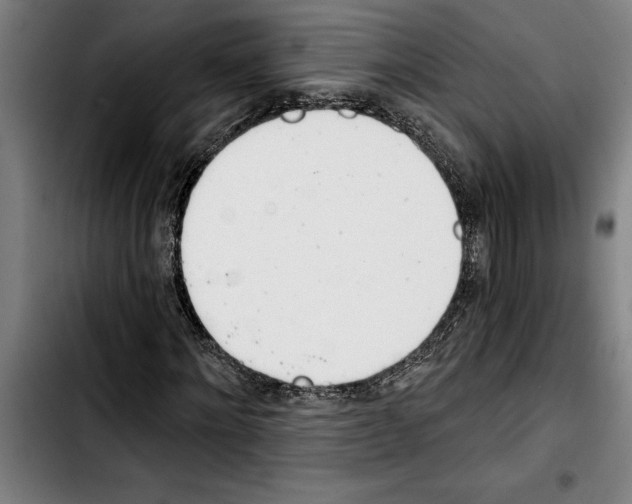 X0000103400868200810241008