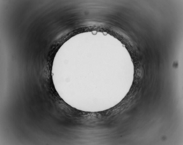 X0000103400869200810241008