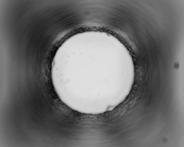 X0000103400871200810241008