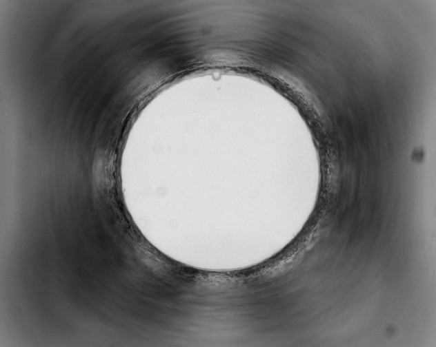 X0000103400873200810241008