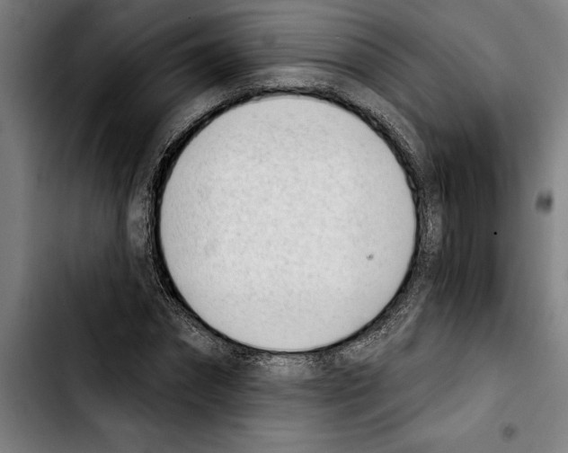 X0000103400874200810241008