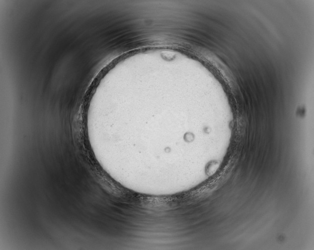 X0000103400875200810241008