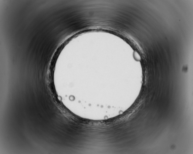 X0000103400876200810241008