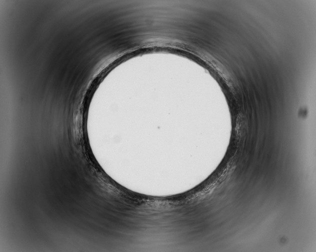 X0000103400877200810241008