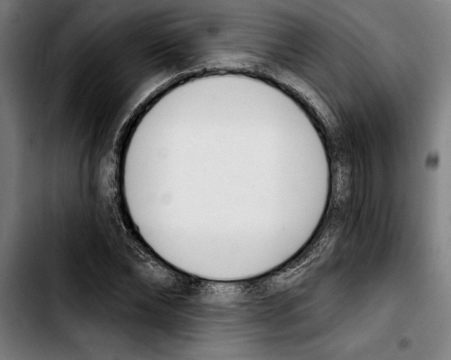 X0000103400878200810241008