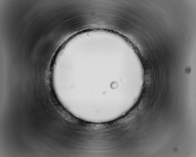 X0000103400879200810241008