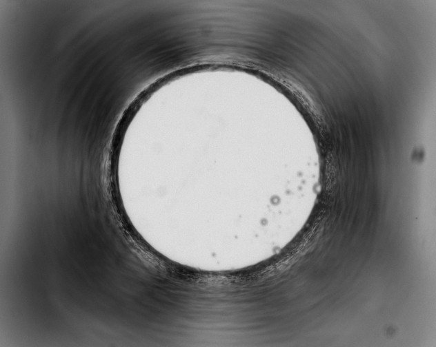 X0000103400880200810241008