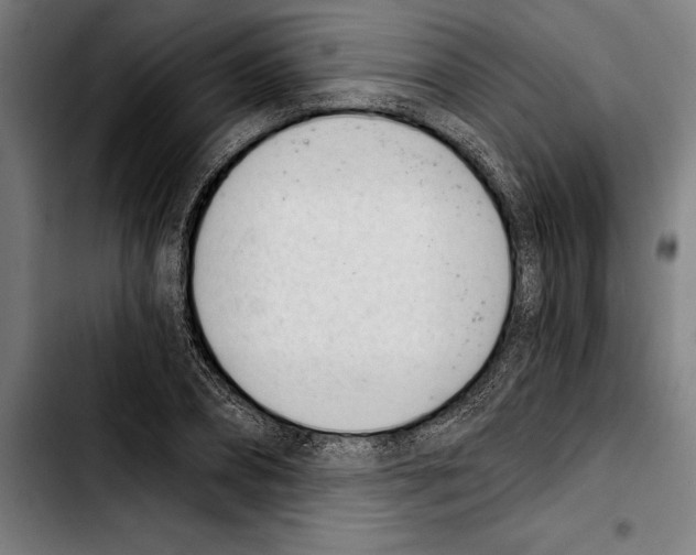 X0000103400882200810241008